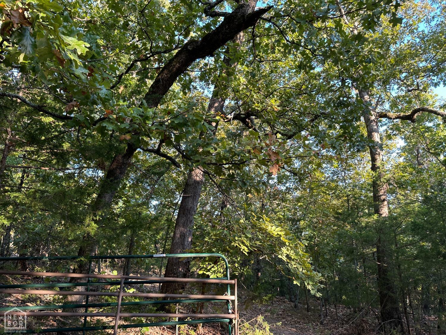 Property Photo:  166 Water Tower Road  AR 72619 