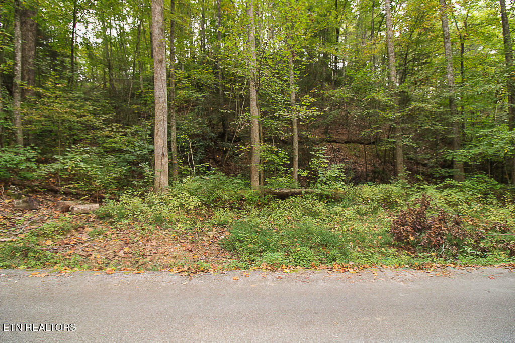 Property Photo:  Lot 20 Ownby Circle  TN 37738 