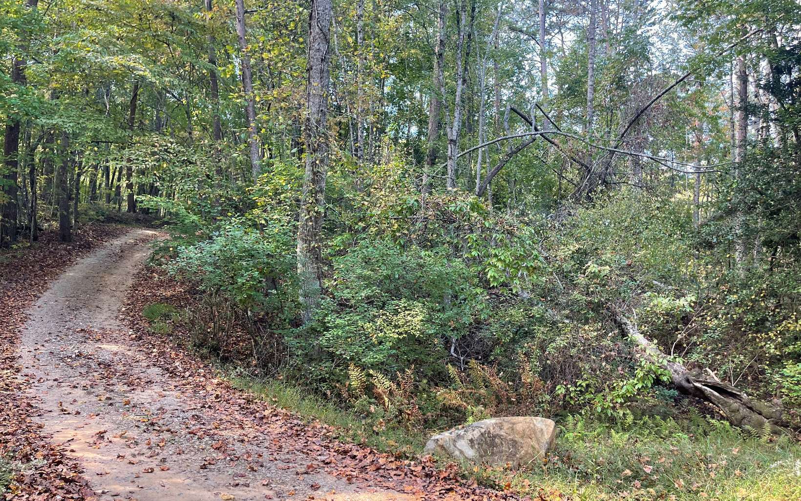 Property Photo:  Tr 2 Number 20 Mine Road  GA 30555 