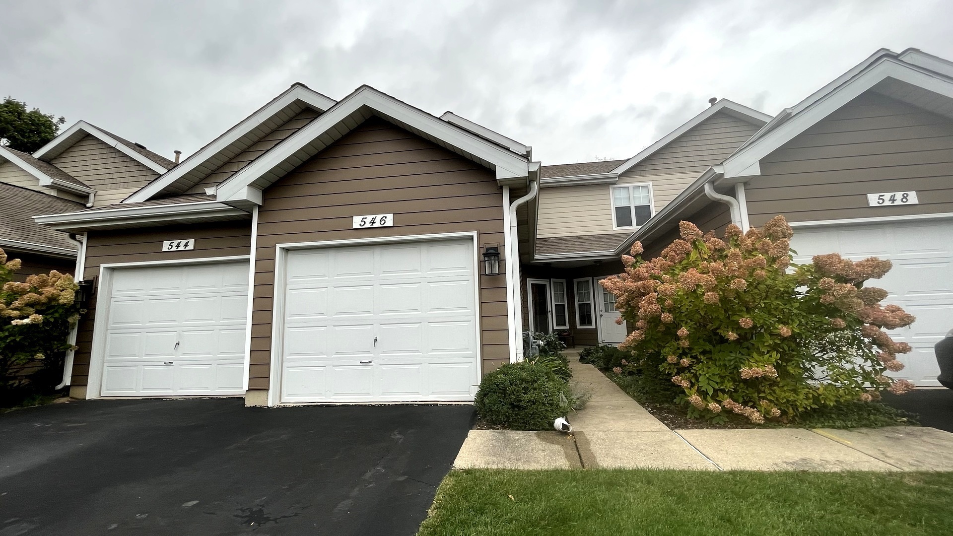 Property Photo: 546 Woodhaven Drive IL 60060