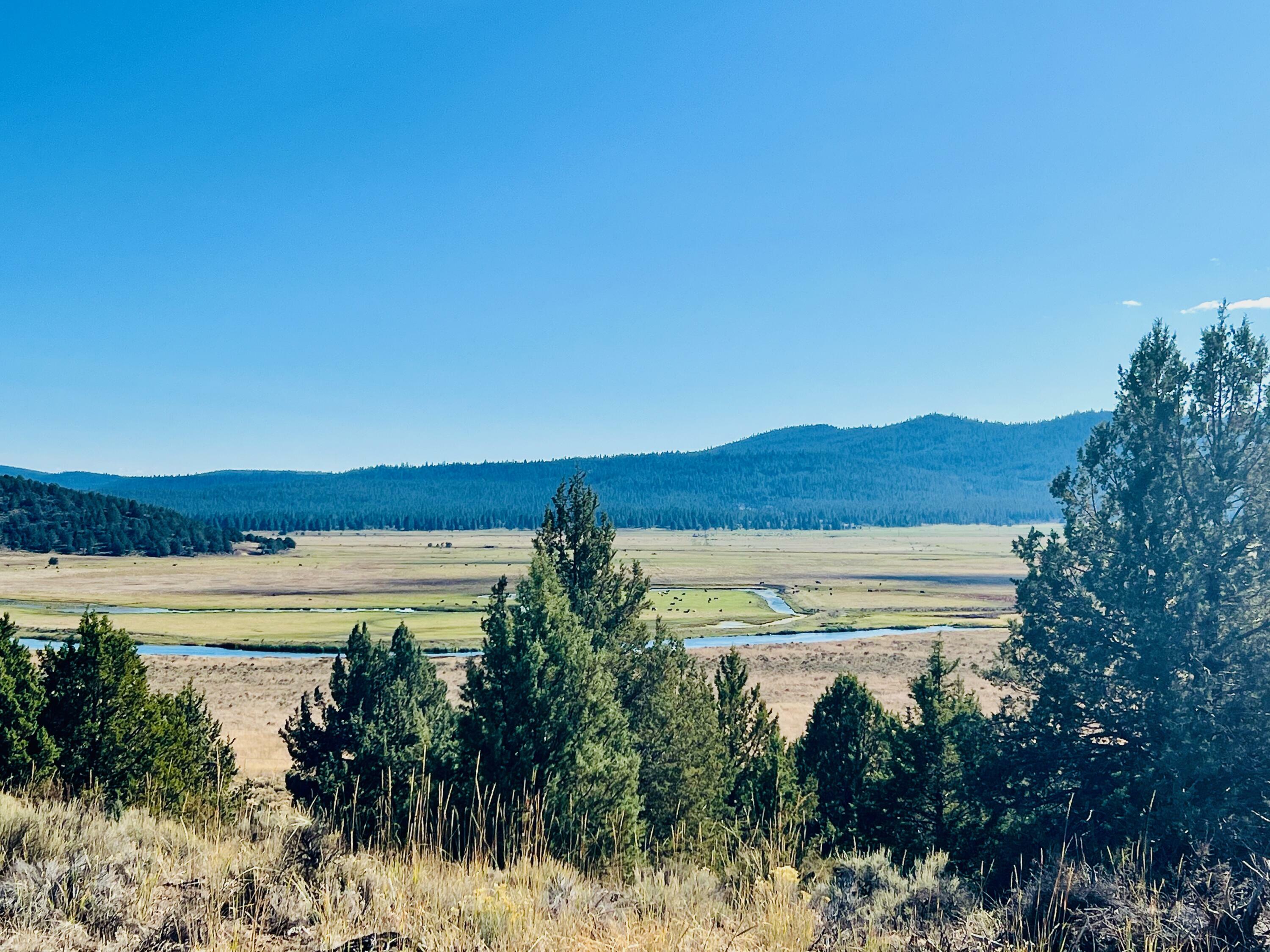 Property Photo:  Shasta Street Lot 24  OR 97639 