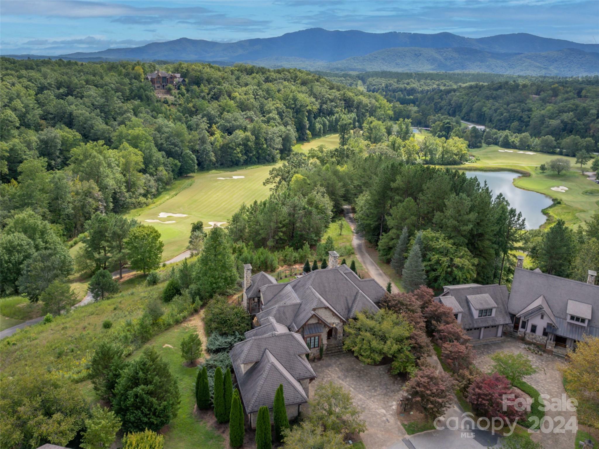 Property Photo: 597 Chestertown Drive NC 28756