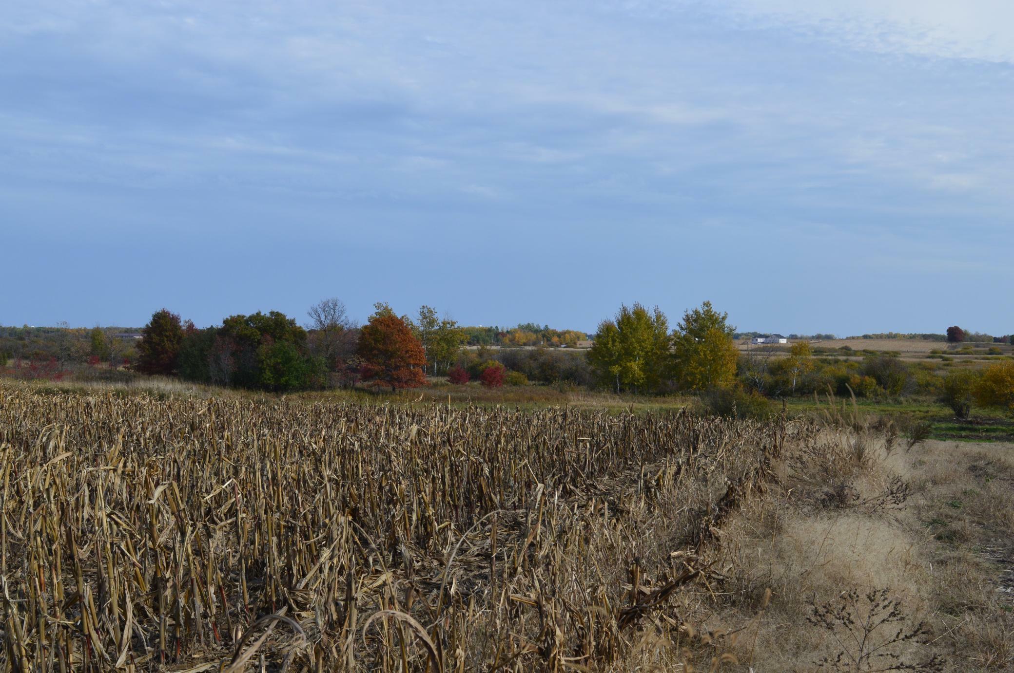 Property Photo:  Tbd Lot D Mayhew Lake Road NE  MN 56379 