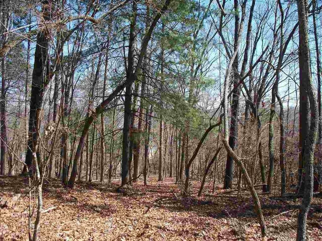 Property Photo:  3.64 Acres Lake Forest Drive  TN 37381 