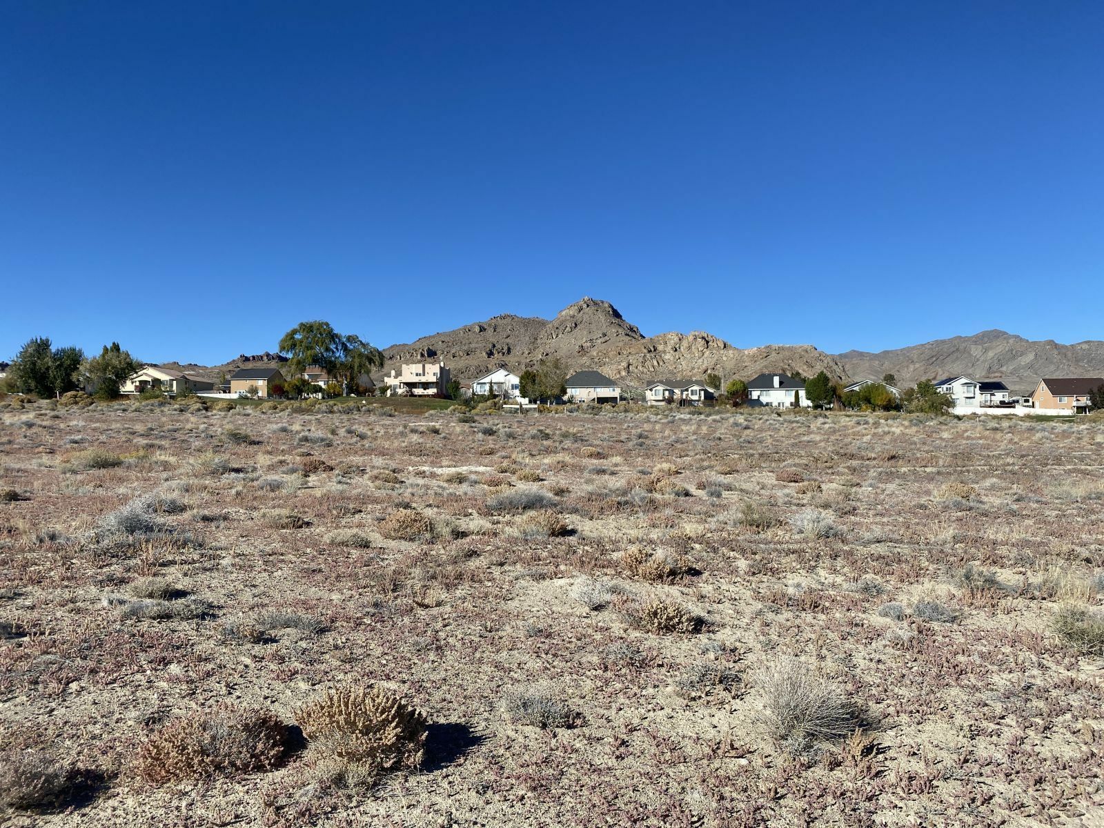 Property Photo:  2947 Sawgrass Court  NV 89883 