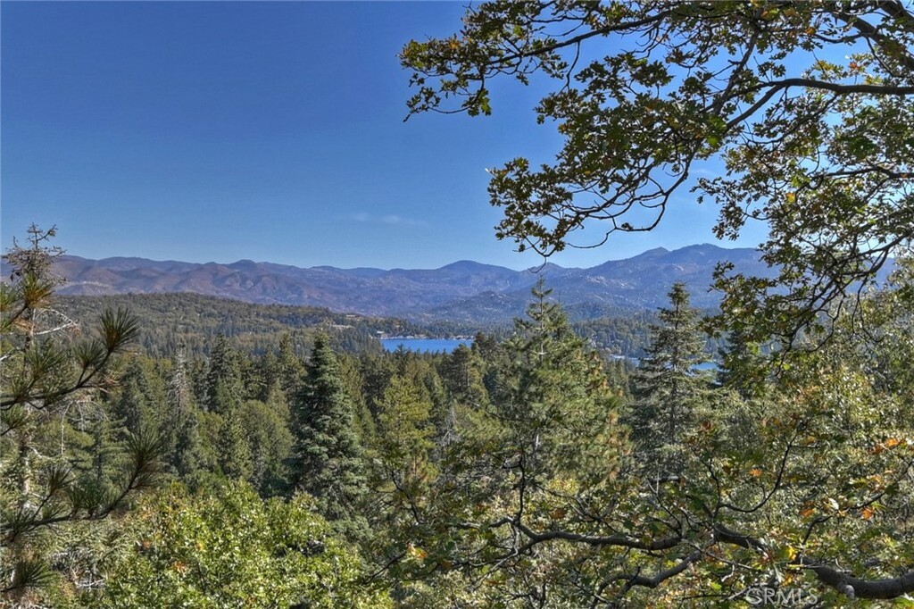 Property Photo:  315 Grizzly Road  CA 92352 