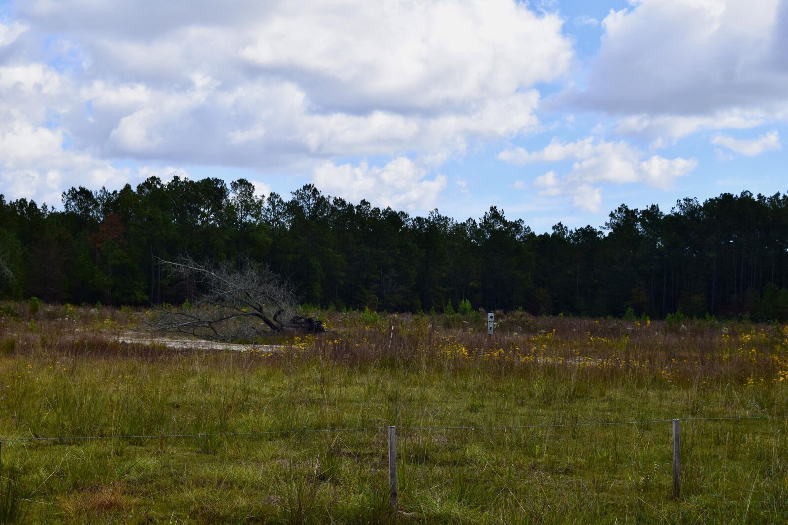 Property Photo:  119 Old Arrowhead Trail  SC 29450 