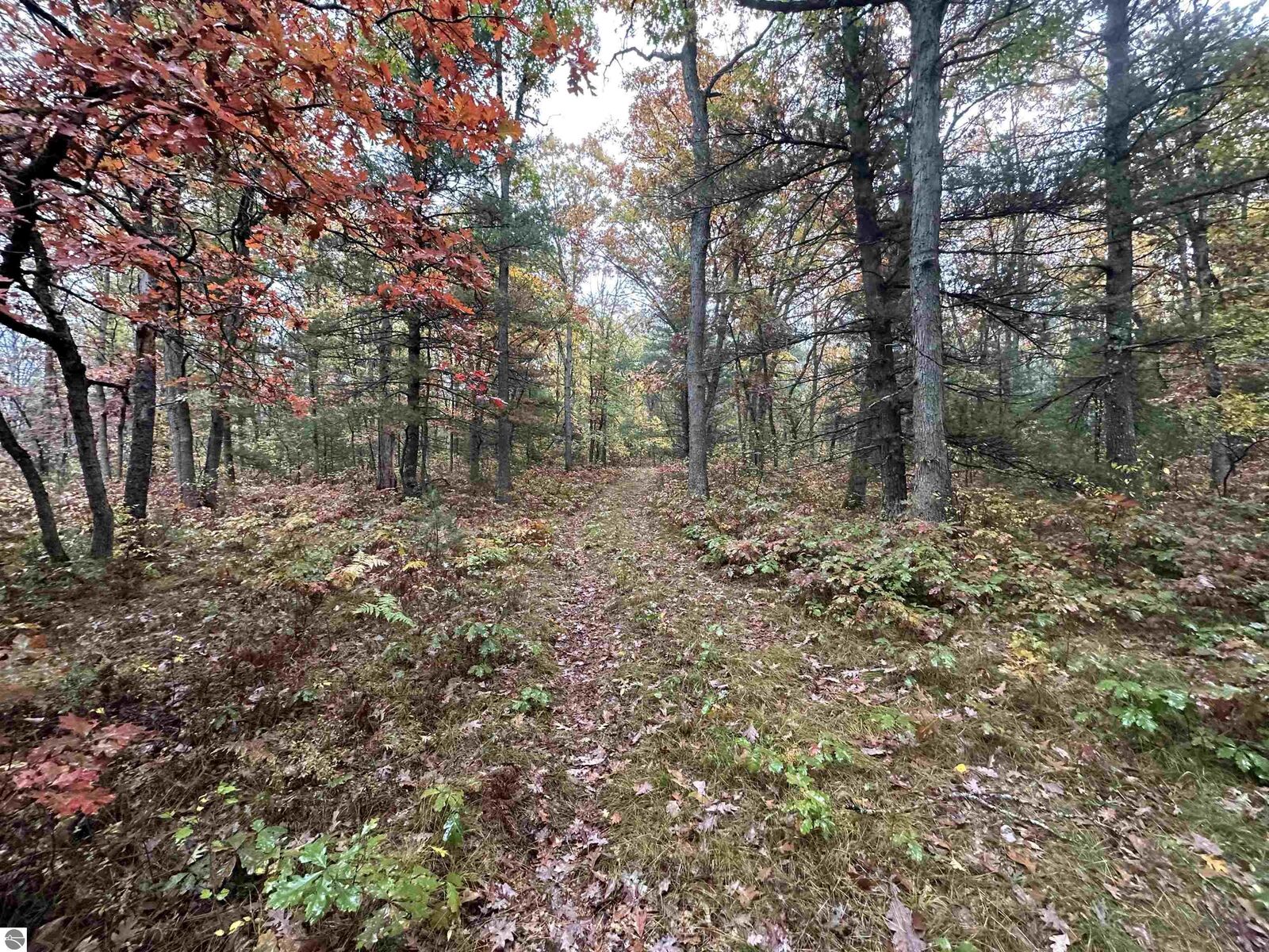 Property Photo:  00 W 48 1/2 Road  MI 49689 