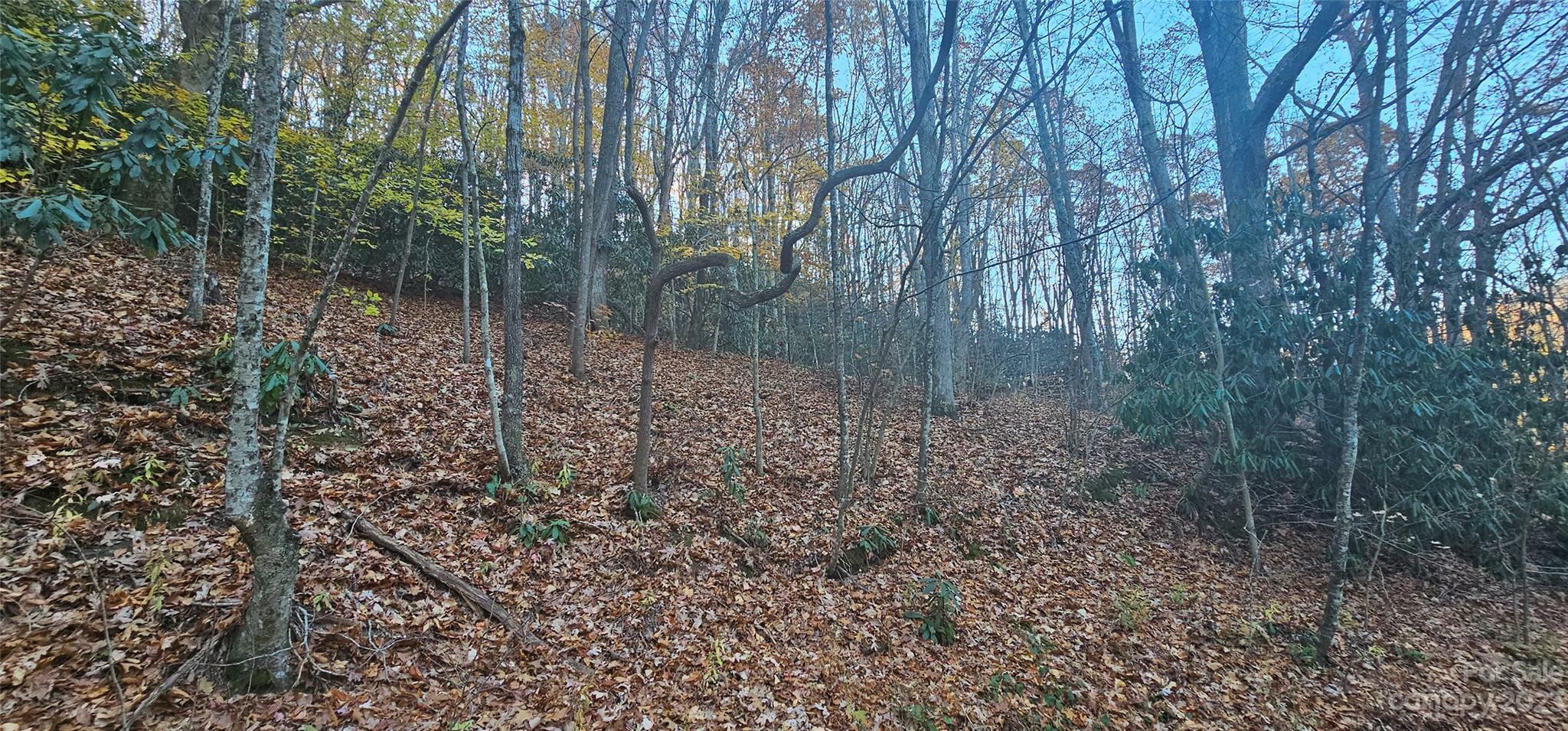Property Photo: Off Sorrells Cove Road NC 28721