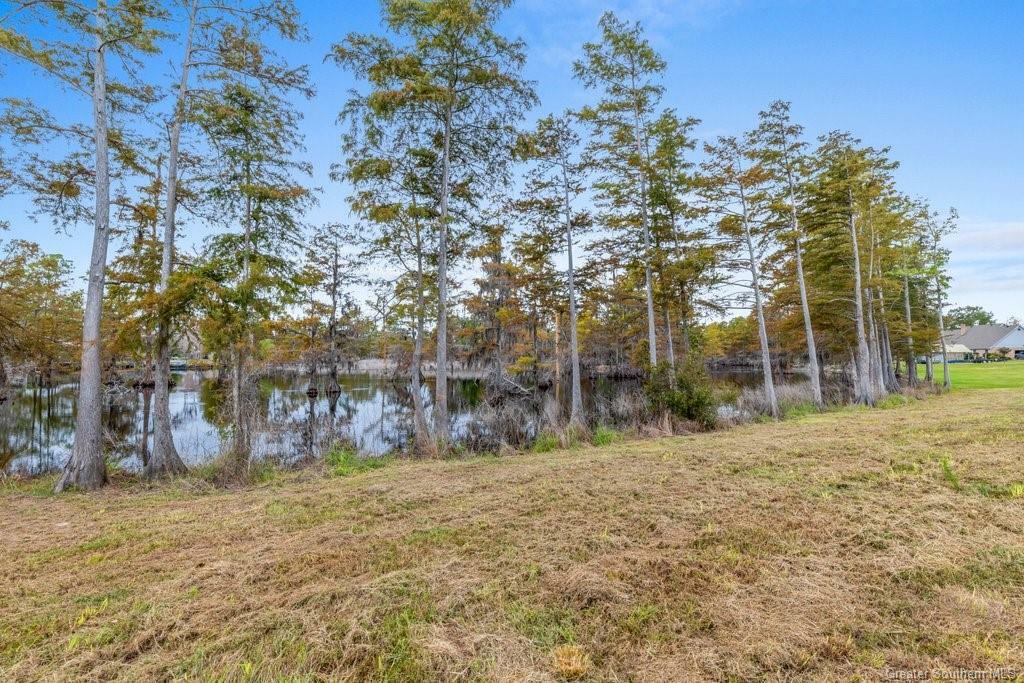 Property Photo: 0 J Bruce Road LA 70611