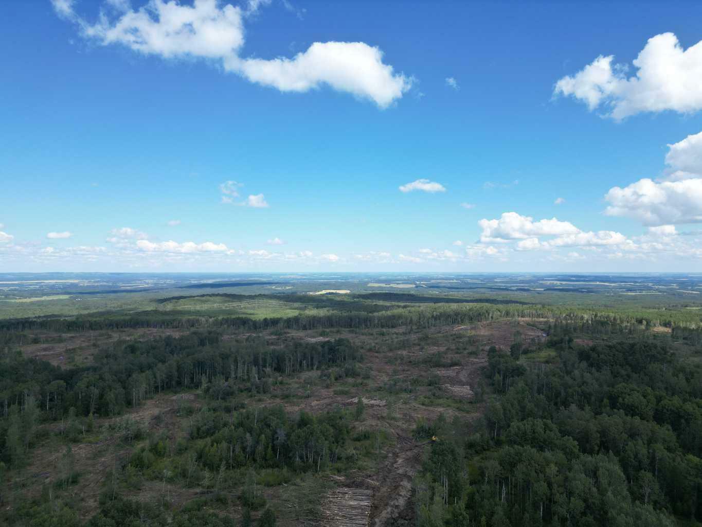 Property Photo:  NE&Amp SE-31-57-10-W5 Township Road 580 Land  AB T0E 1N0 