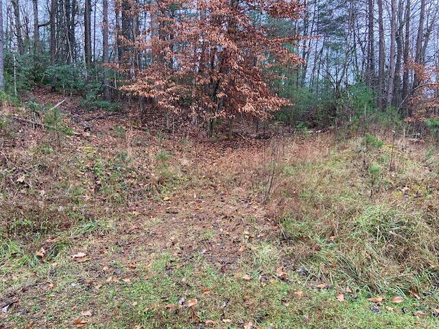 Property Photo:  Lot5 Summerset Ln  VA 24065 