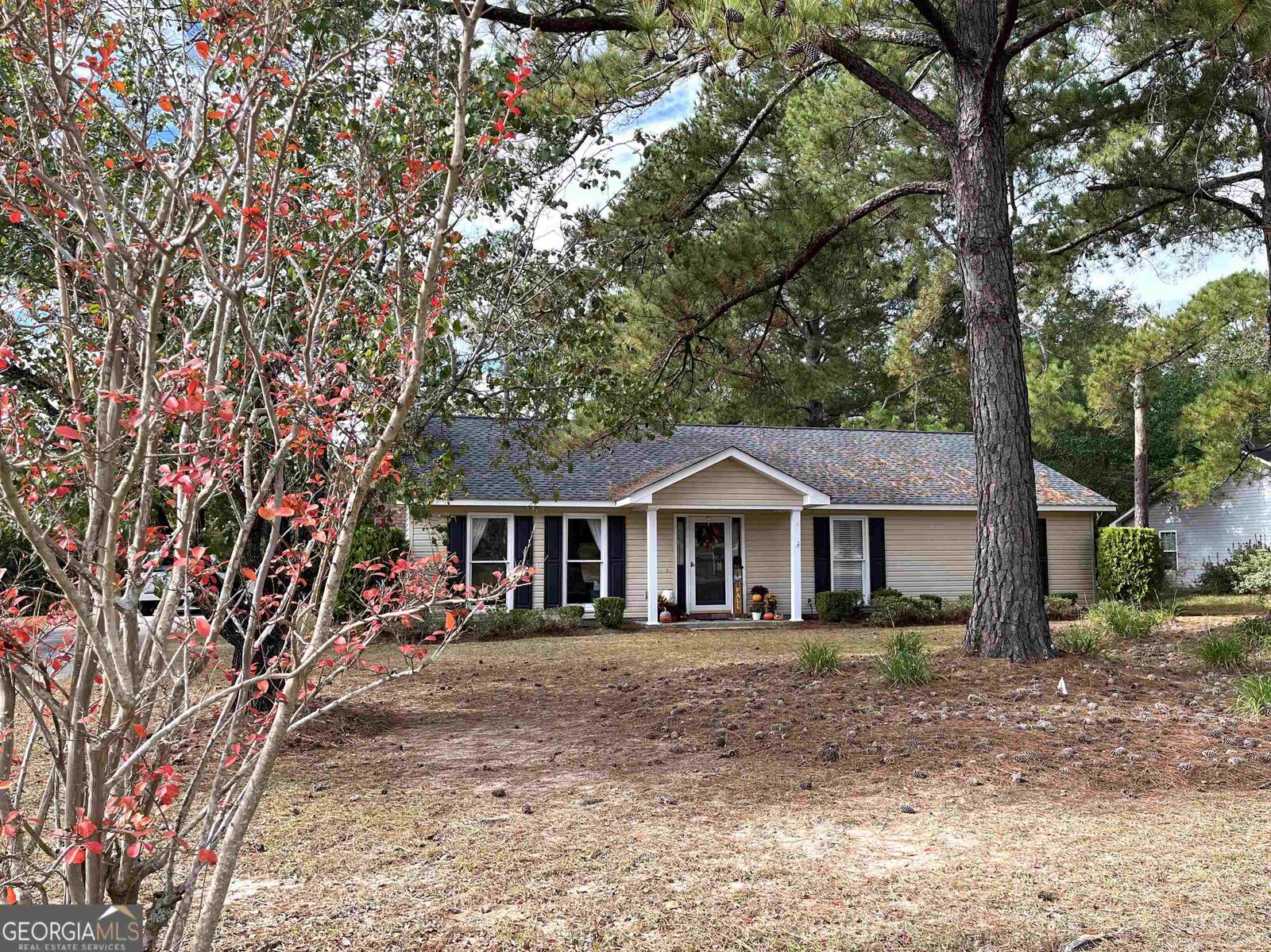 Property Photo:  117 Mockingbird Drive  GA 31021 