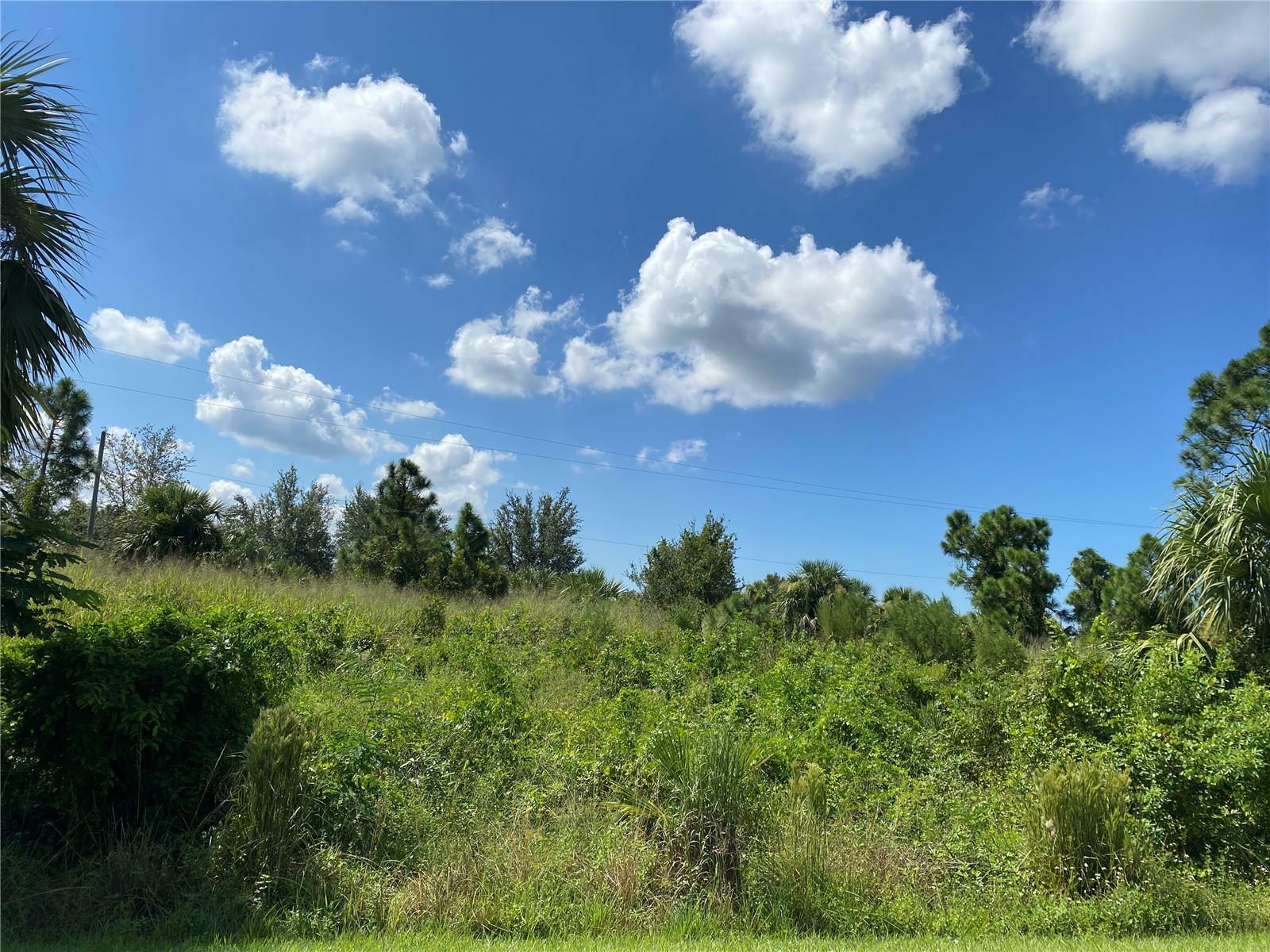Property Photo: 26265 Scham Road FL 33955