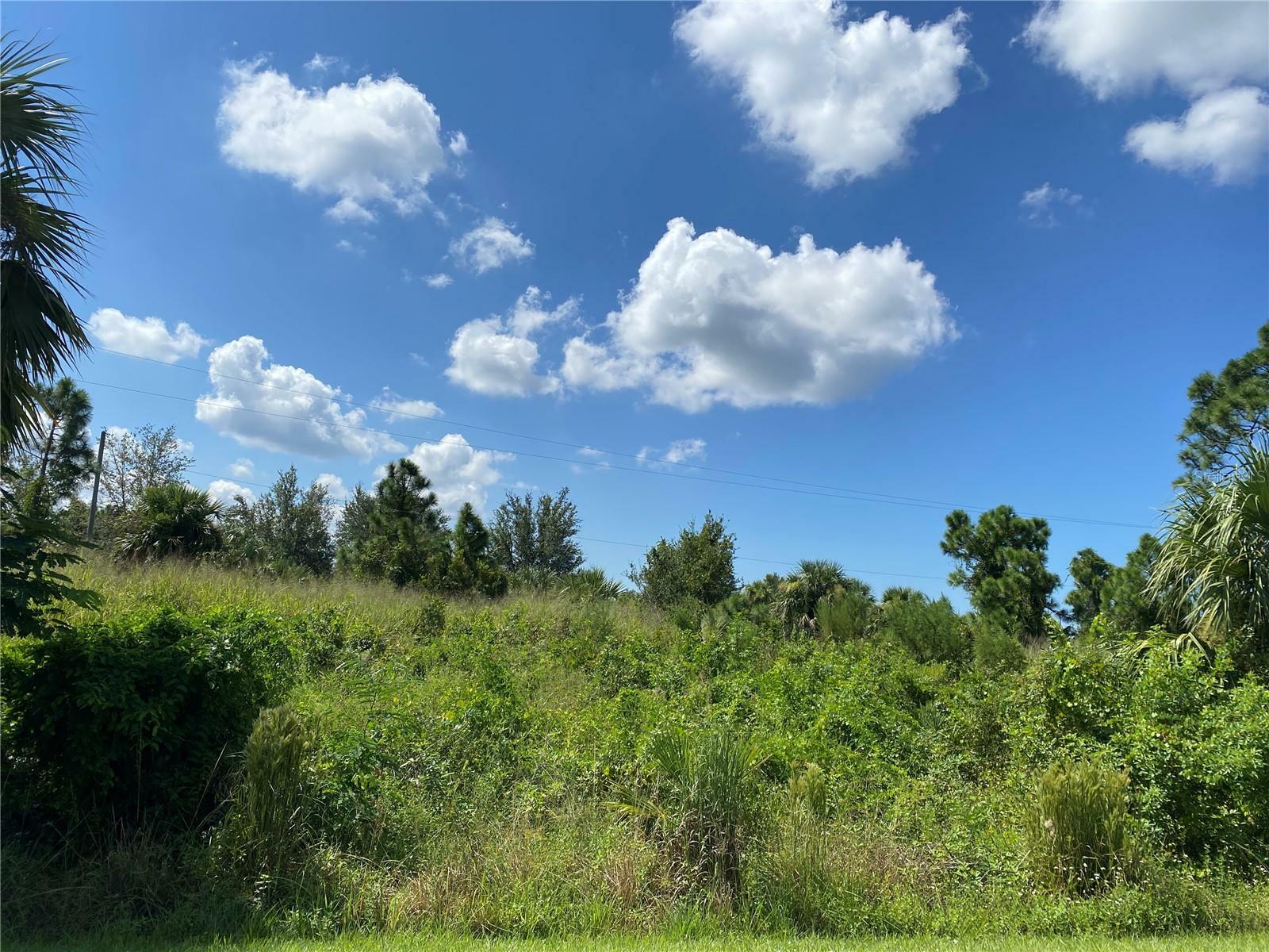 Property Photo:  26265 Scham Road  FL 33955 