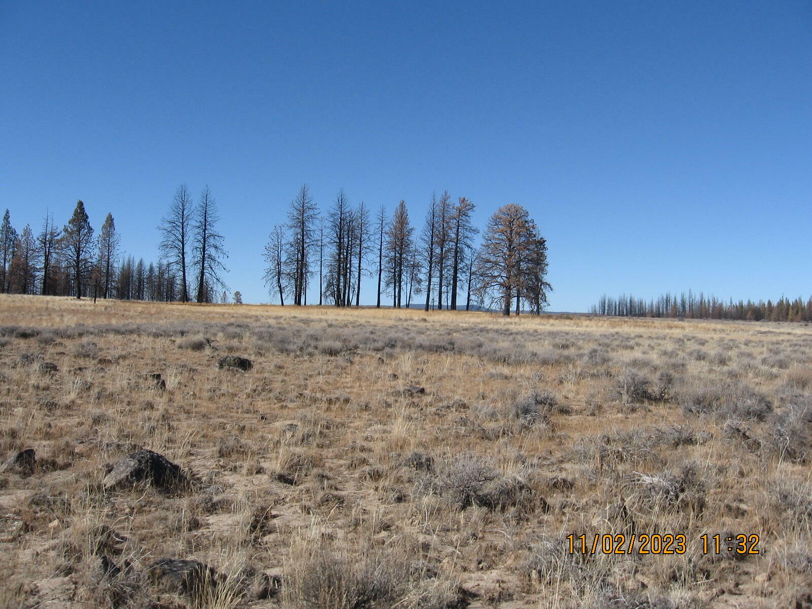 Property Photo:  Lot 14N White Oak Lane  OR 97622 