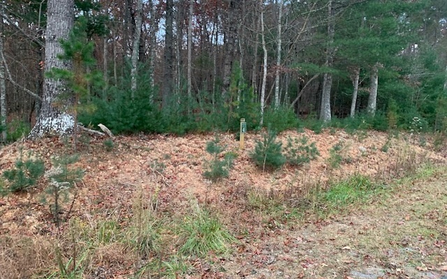 Lot 4 Courtney Lane  Blairsville GA 30512 photo