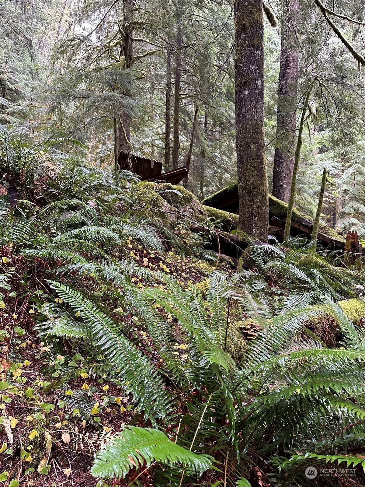 Property Photo:  38219 State Route 706 E  WA 98304 