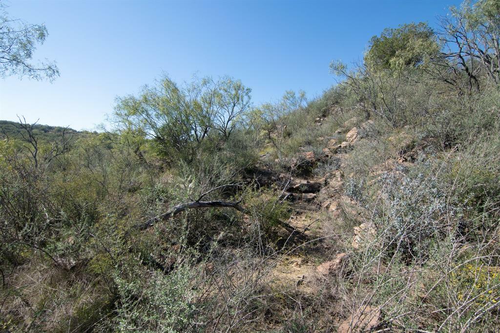 Property Photo:  9999 County Road 267  TX 76802 