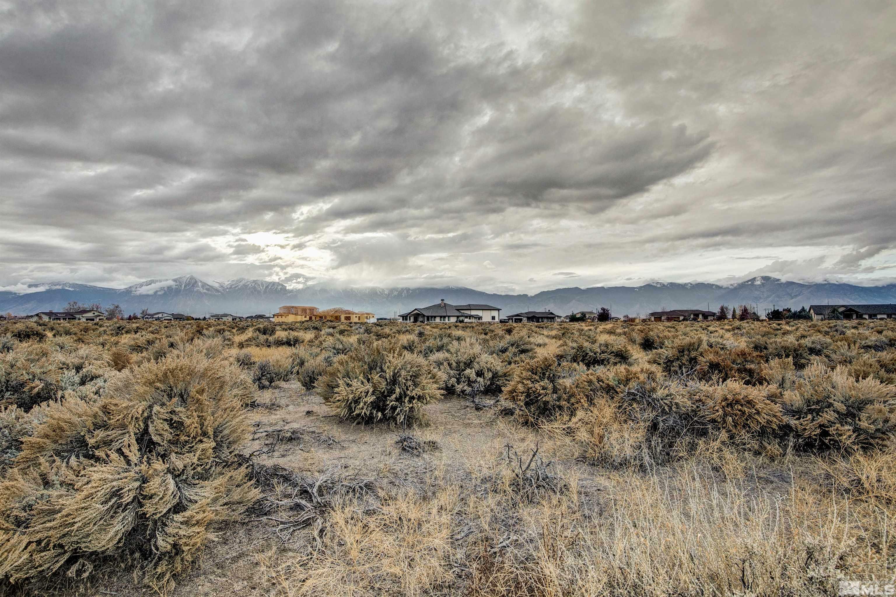 Property Photo:  1841 Painted Desert Dr 32  NV 89423 