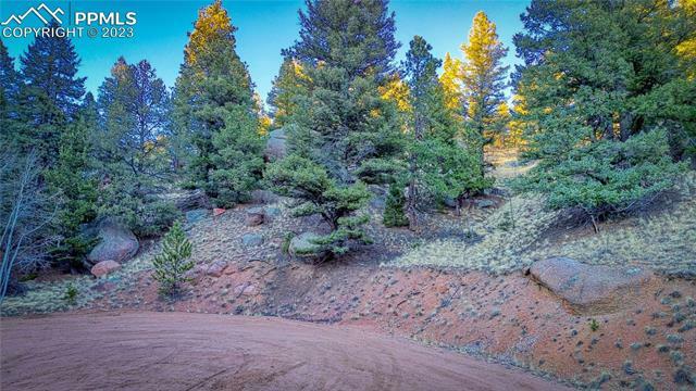 Property Photo: 911 Pinon Lane CO 80816