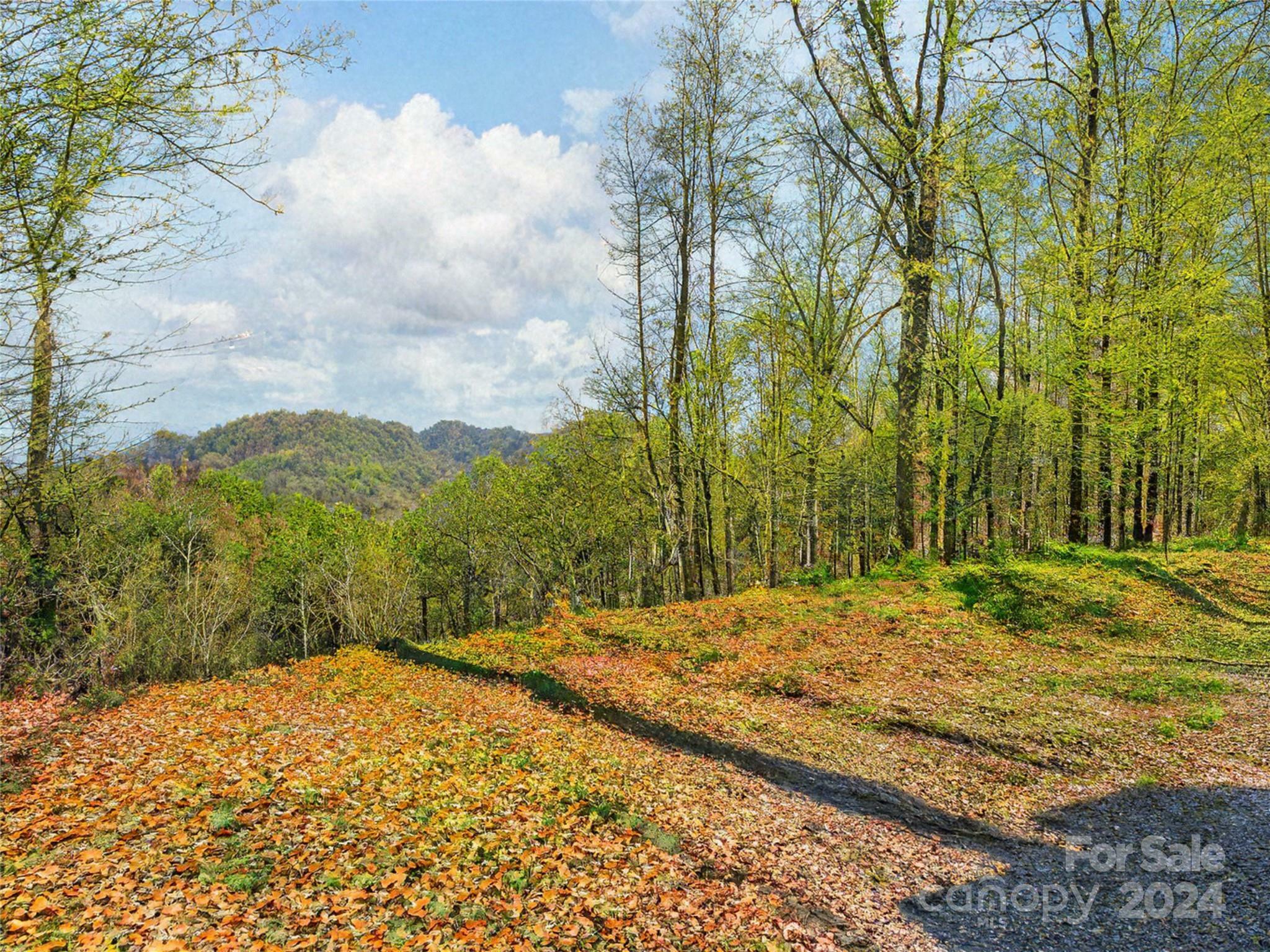 Property Photo:  0 Shoal Ridge 3  NC 28167 