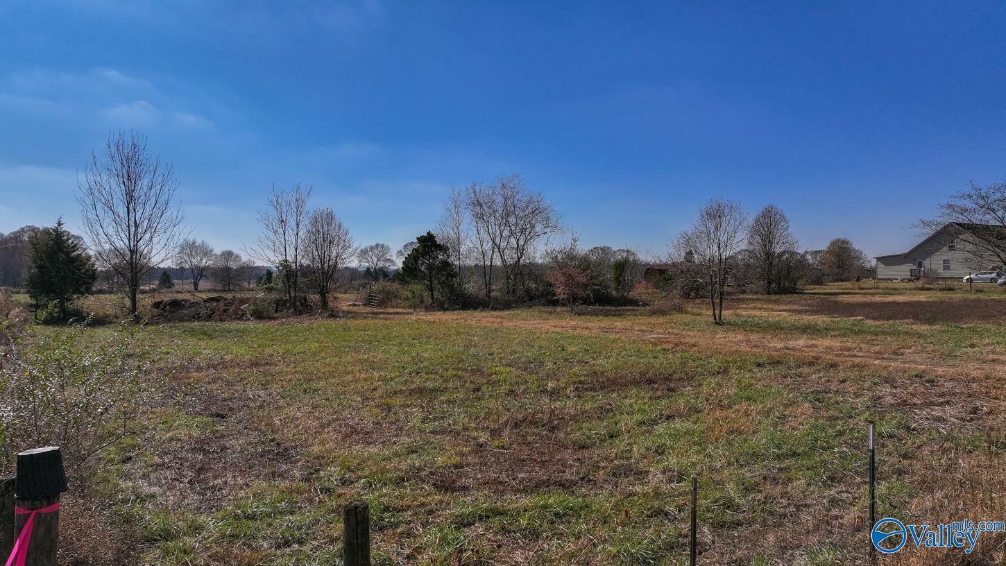 Property Photo:  Tract 2 Coleman Road  AL 35761 