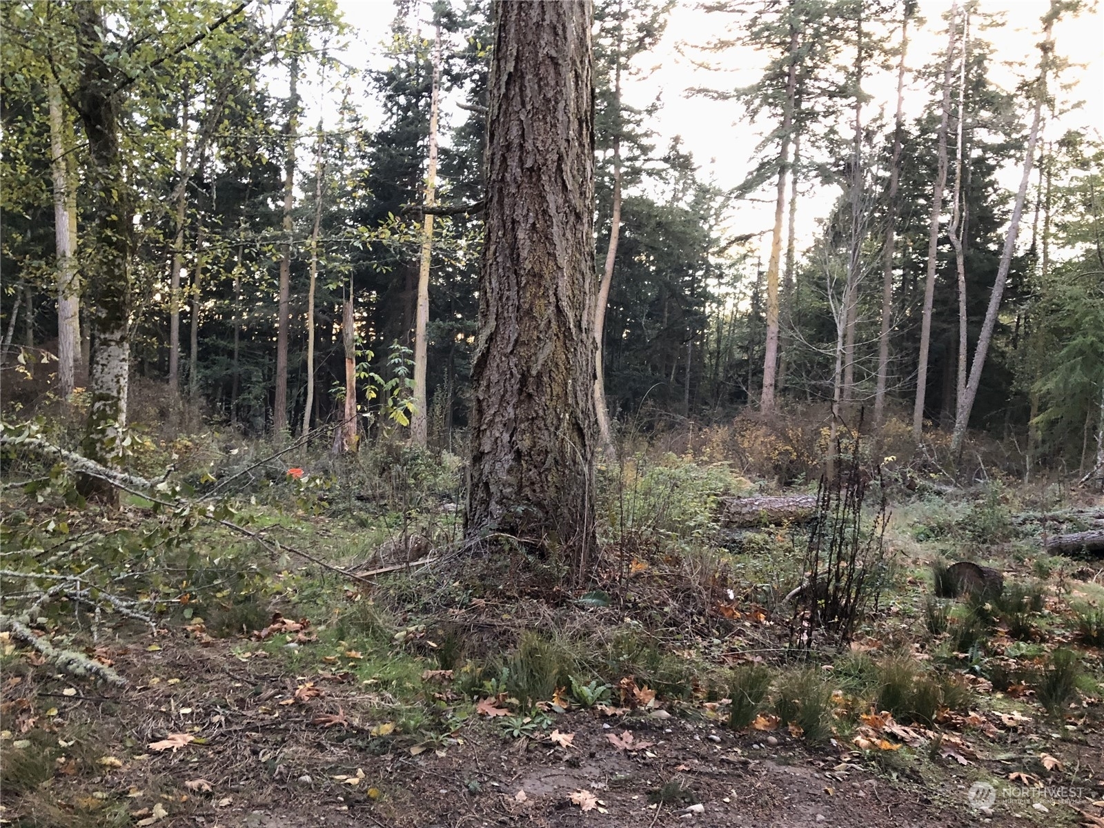 Property Photo: 3029 Raccoon Way WA 98277