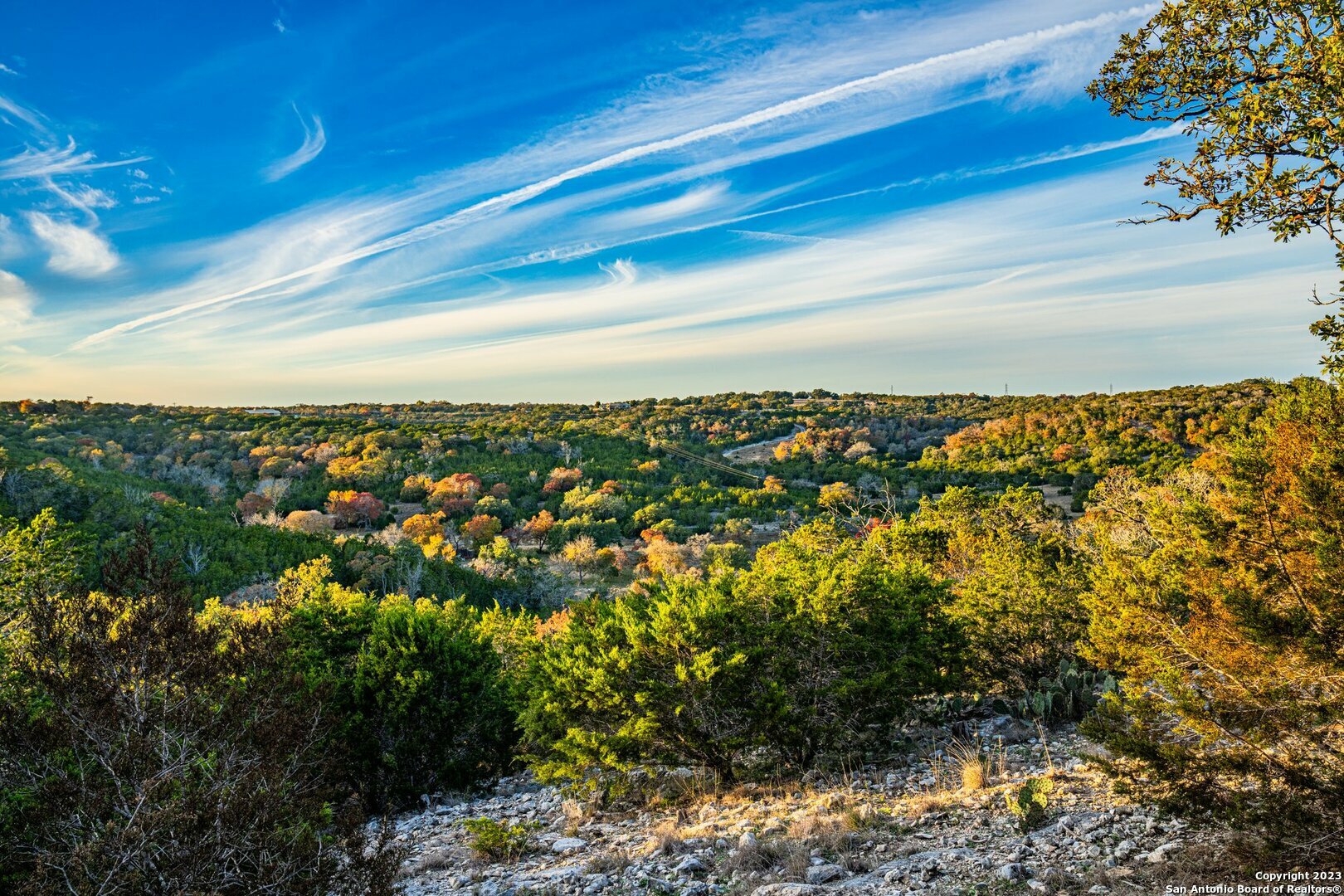 Property Photo:  1125 Landmark Rd  TX 78028 