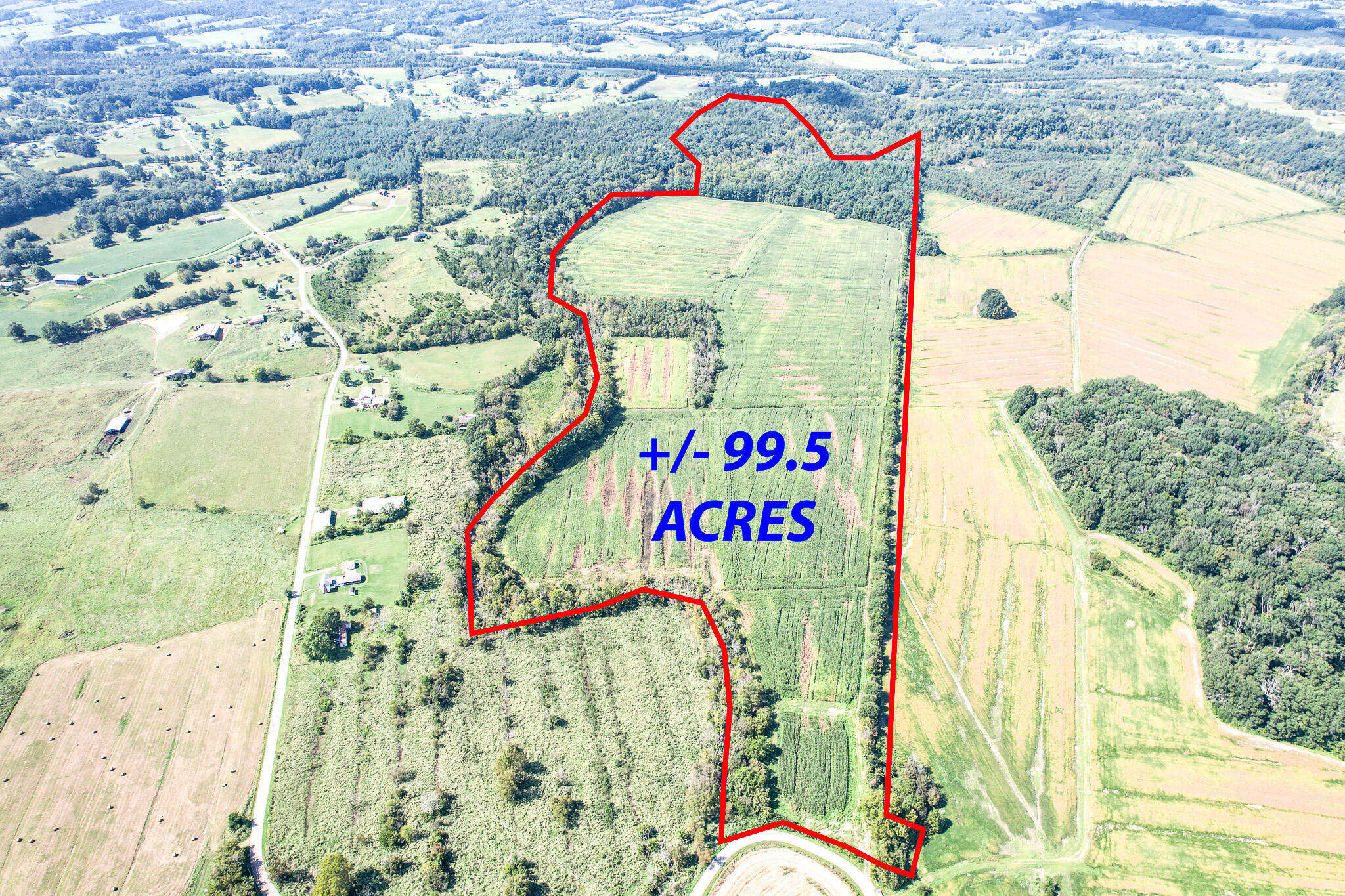 Property Photo:  99.5 Ac Off Marvin Road  TN 37818 