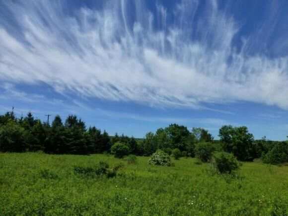 Property Photo:  0 N Applegate Road  NY 14850 