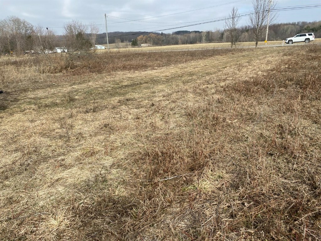 Property Photo:  6040 Searsburg Road  NY 14886 