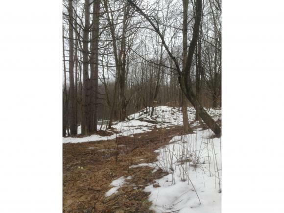 Property Photo:  0 Sears Road  NY 13835 