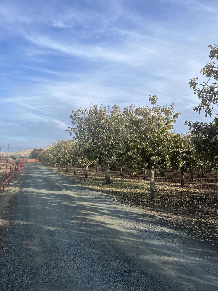 S Plano Street  Porterville CA 93257 photo