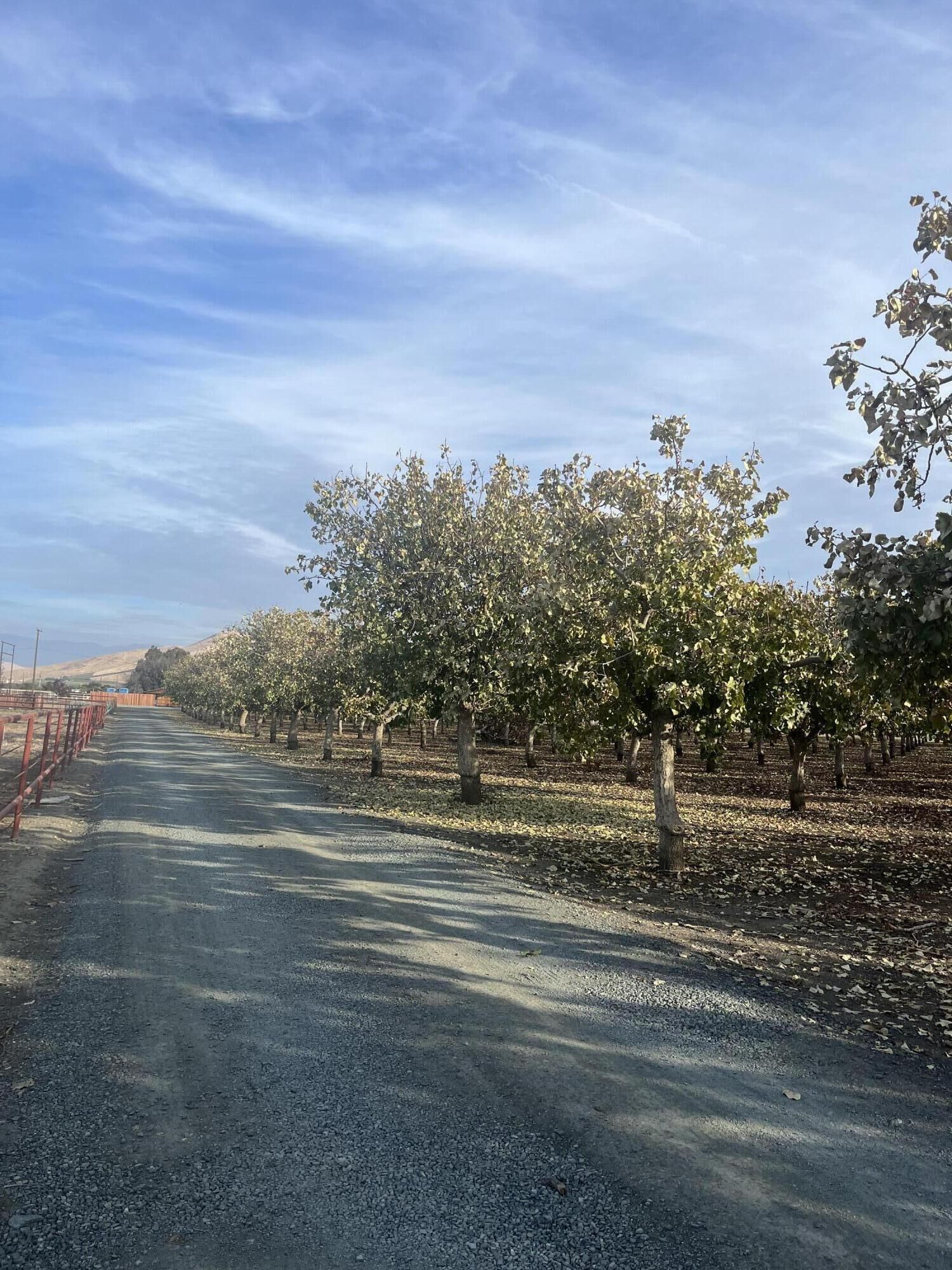 Property Photo: S Plano Street CA 93257