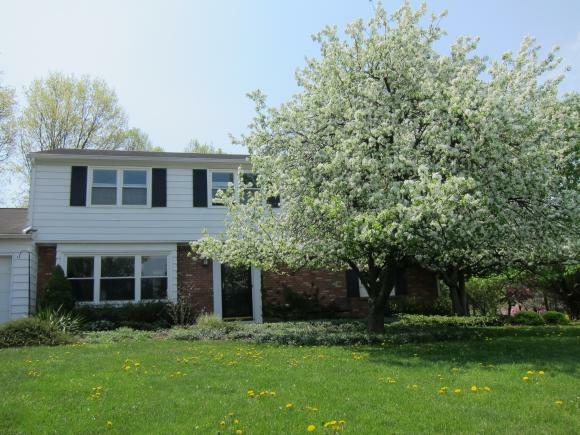 Property Photo:  303 Winthrop  NY 14850 