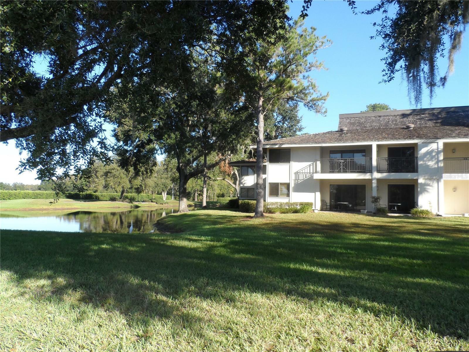 Property Photo:  4947 Mill Pond Road 3101  FL 33543 