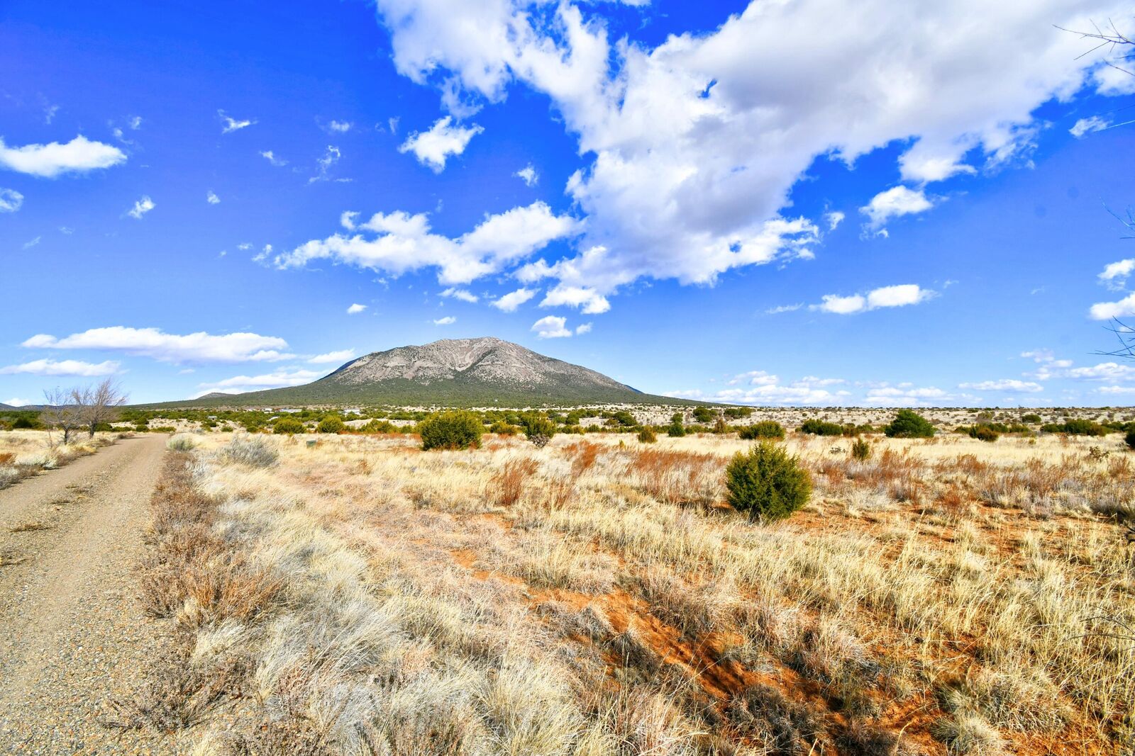 Property Photo:  14 Entranosa Court  NM 87015 