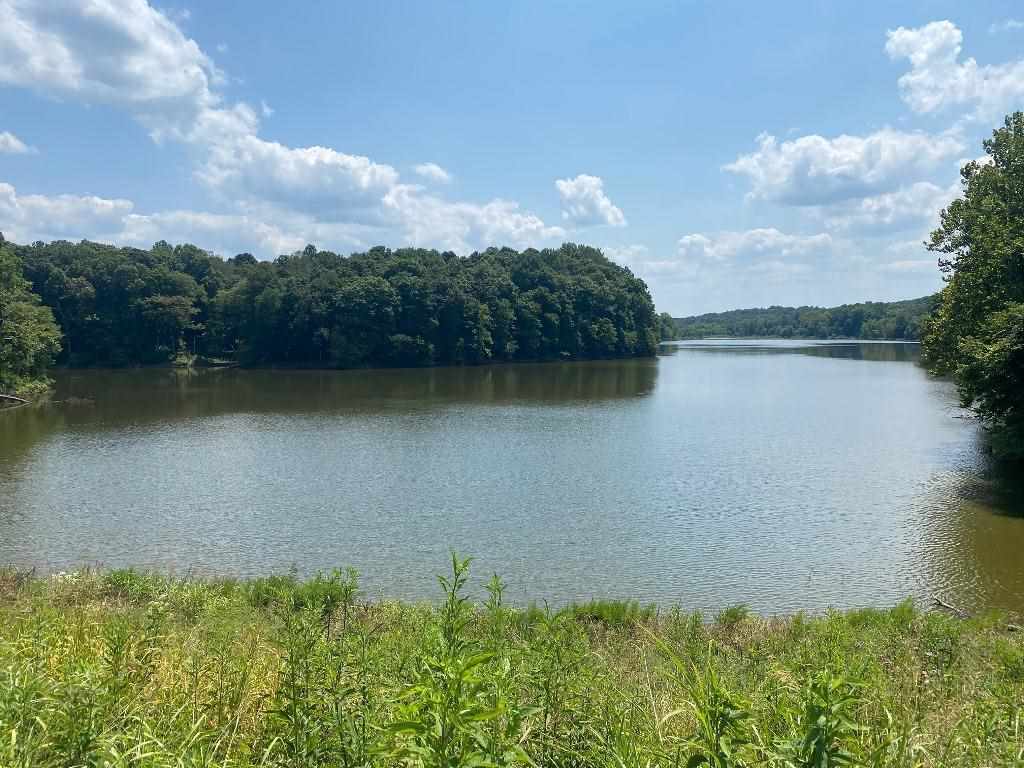 Property Photo:  Tract 11 Hamilton-Lee Road  KY 42256 