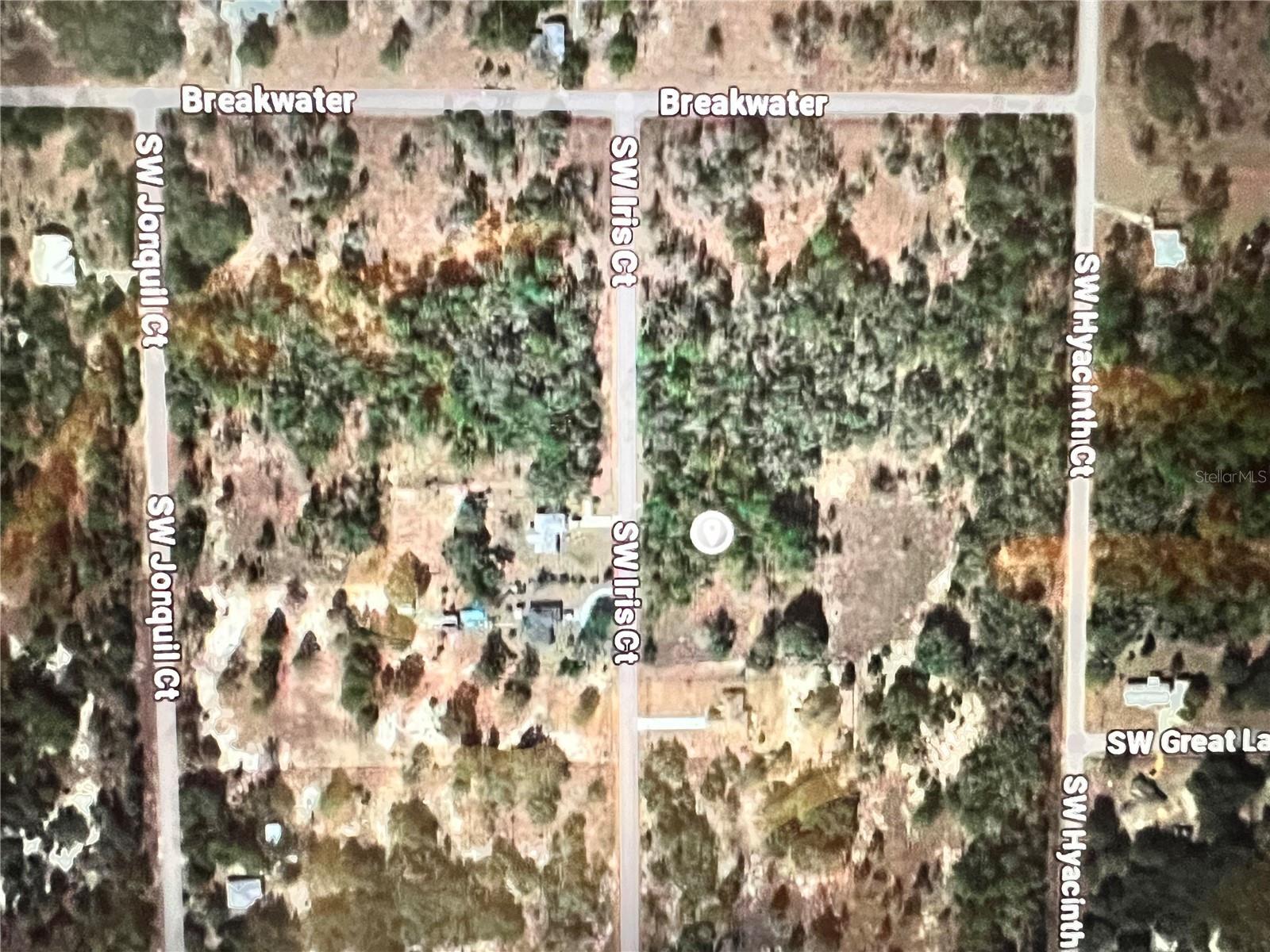Property Photo: 0 SW Iris Court FL 34431