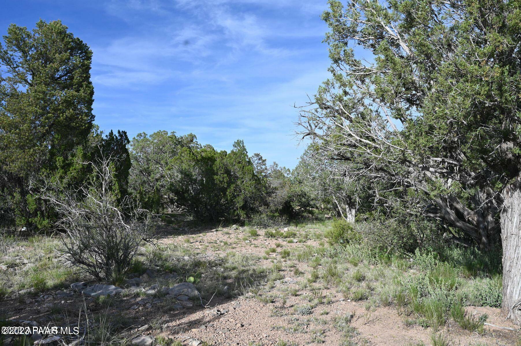 Property Photo:  52084 Calle Ciervo  AZ 86337 