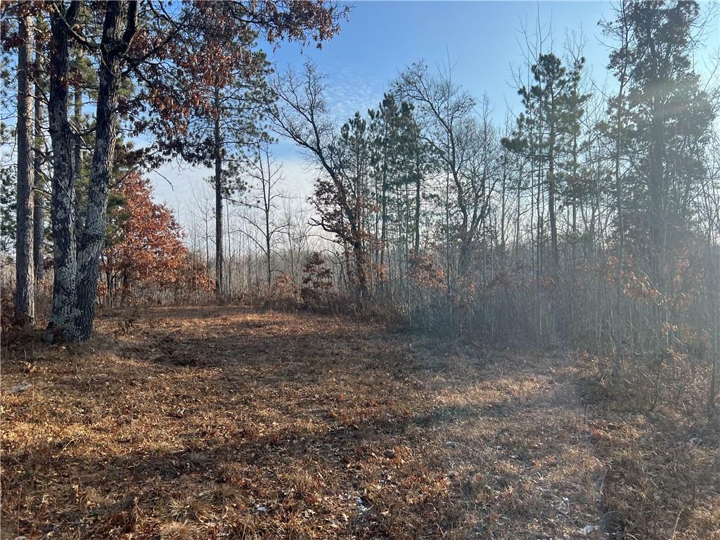 Property Photo: Lot 1 Brancel Road WI 54859