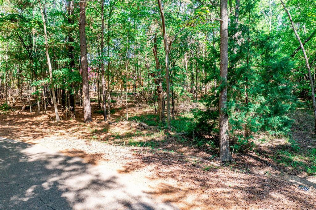 Property Photo:  Lot 27 Wildwood Trail  TX 75457 