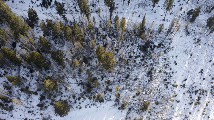 Property Photo:  Lot 38 Mountain View Estates  MT 59711 