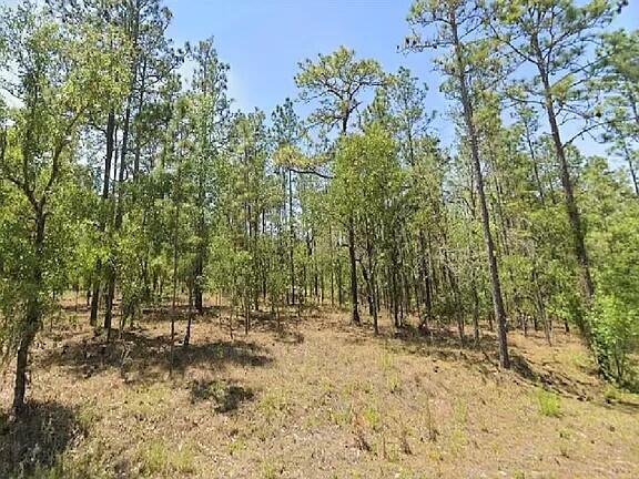 Property Photo:  0 NW Tree Top #9 Road  FL 34431 