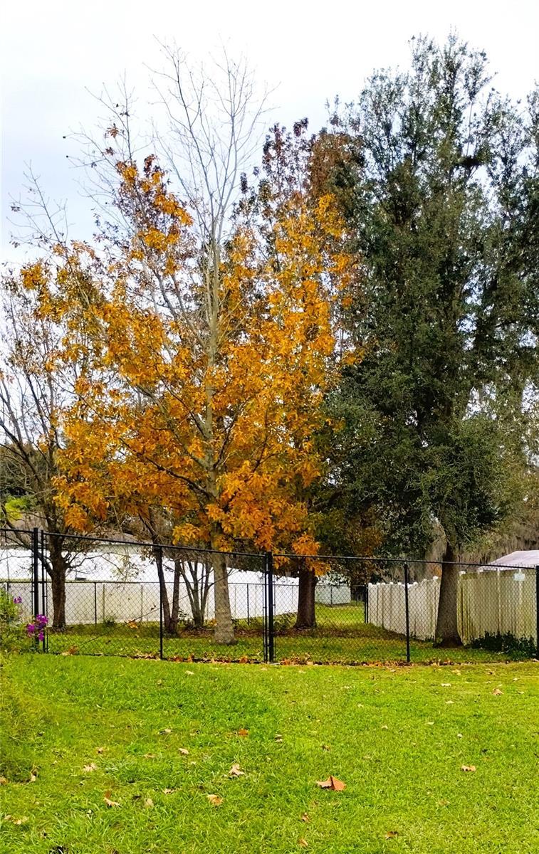 Property Photo:  2749 Pine Brush Drive  FL 33813 