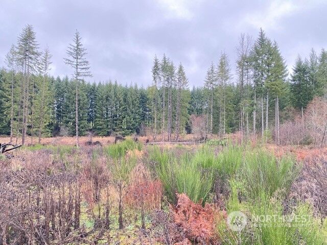 Property Photo: 1890 State Route 603 WA 98565