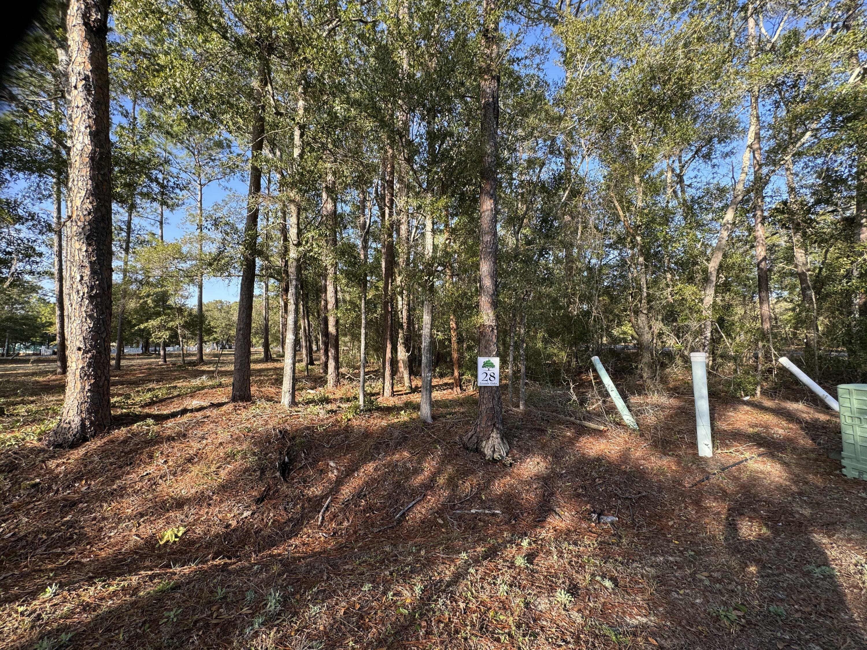 Property Photo:  Lot 28 Of Caswell Branch Road  FL 32439 