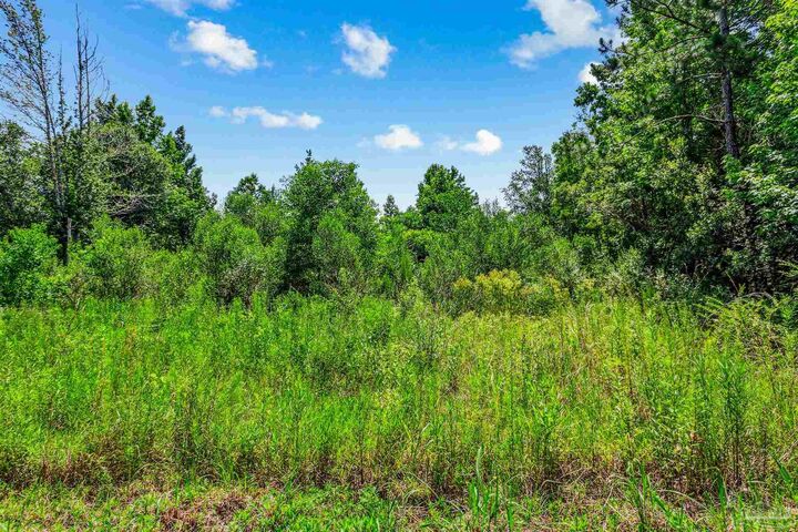 Property Photo: 0000 Fox Quarry Rd FL 32533