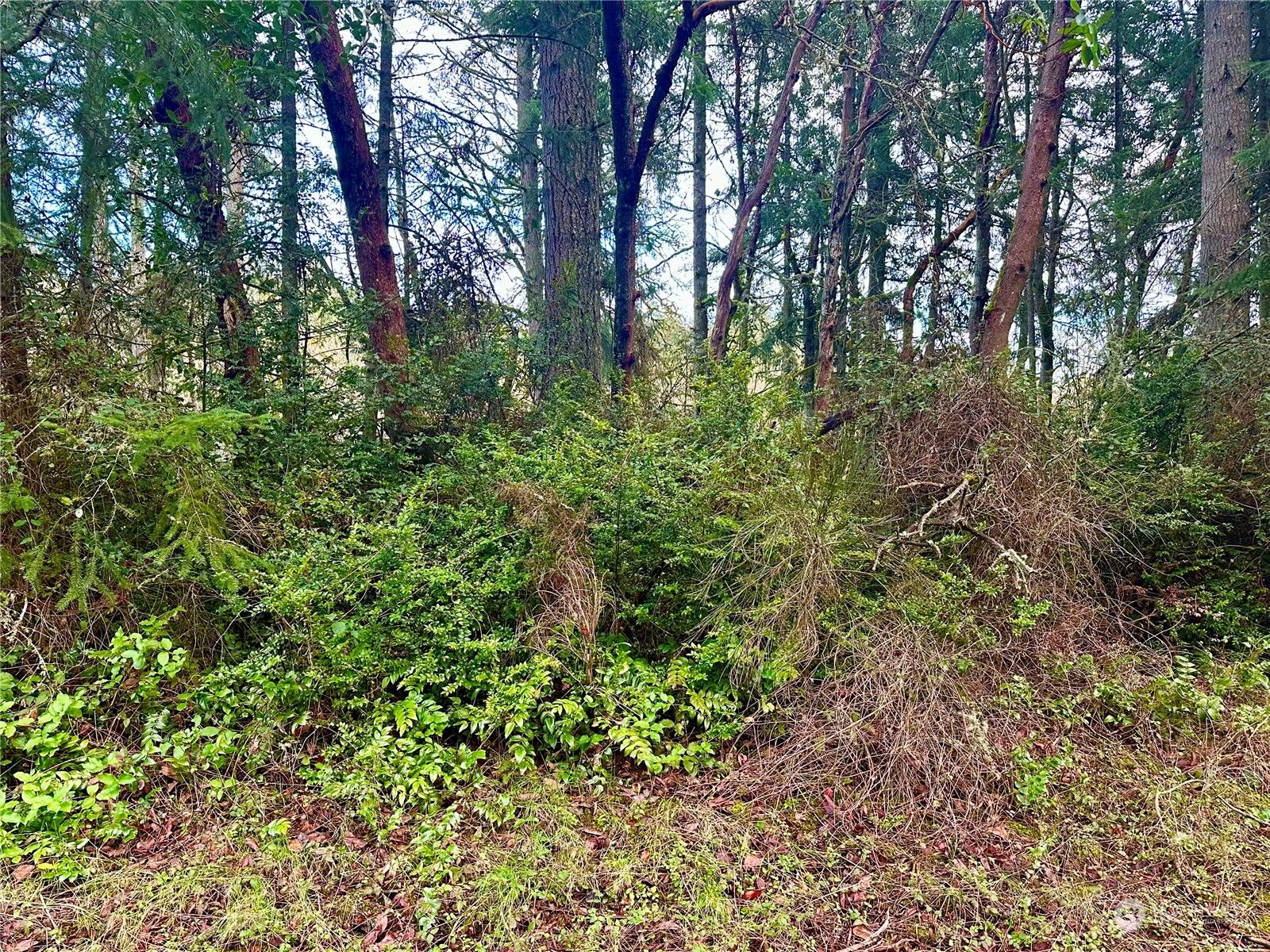 Property Photo:  12023 Cascade Place  WA 98303 